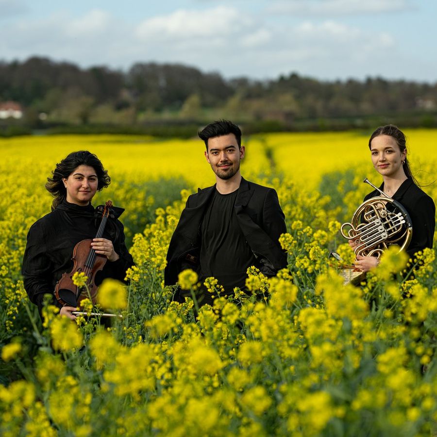Trio Arisonto
